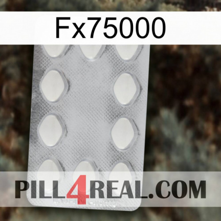 Fx75000 16